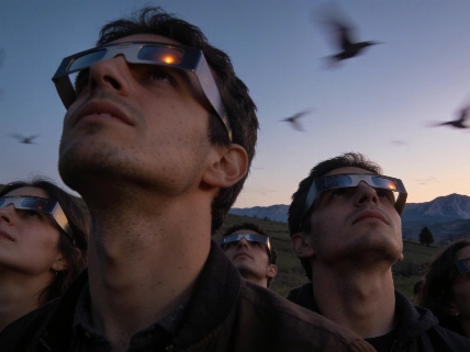 Eclipse solar total en España: cambios de luz y alerta por aves Español.News