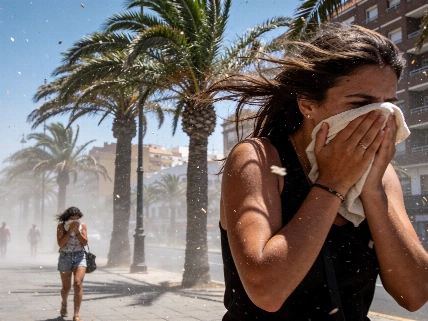Canarias afronta un miércoles con máximas al alza y viento intenso