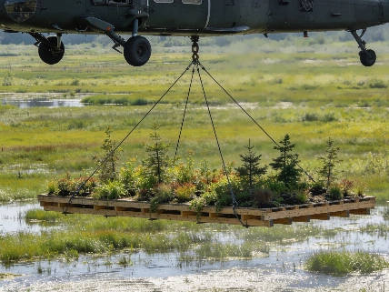 Un helicóptero transforma un humedal con 90 plataformas verdes Español.News