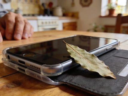 El curioso auge del laurel en la funda del móvil Español.News