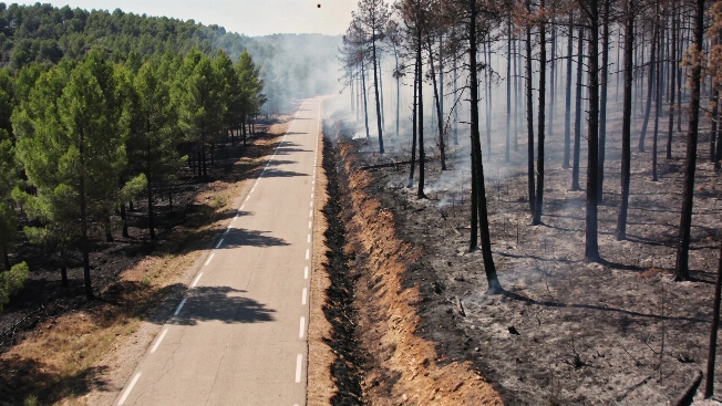 Casi 50 carreteras cerradas por incendios: la DGT mantiene restricciones Español.News