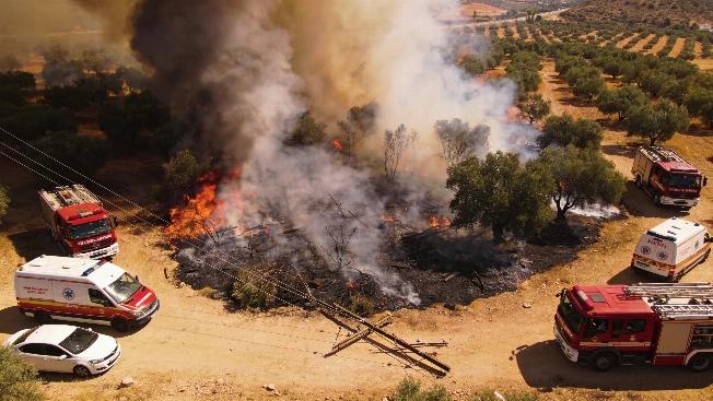 Guardia Civil apunta a un cable eléctrico en el incendio mortal de Los Gallardos Español.News