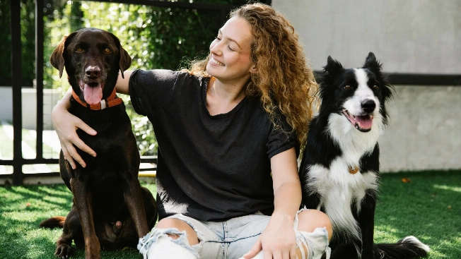 Cómo la fecha de nacimiento puede influir en el carácter de tu perro según astrólogos españoles Español.News