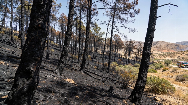 Once muertos y ocho heridos en el incendio de Los Gallardos Español.News