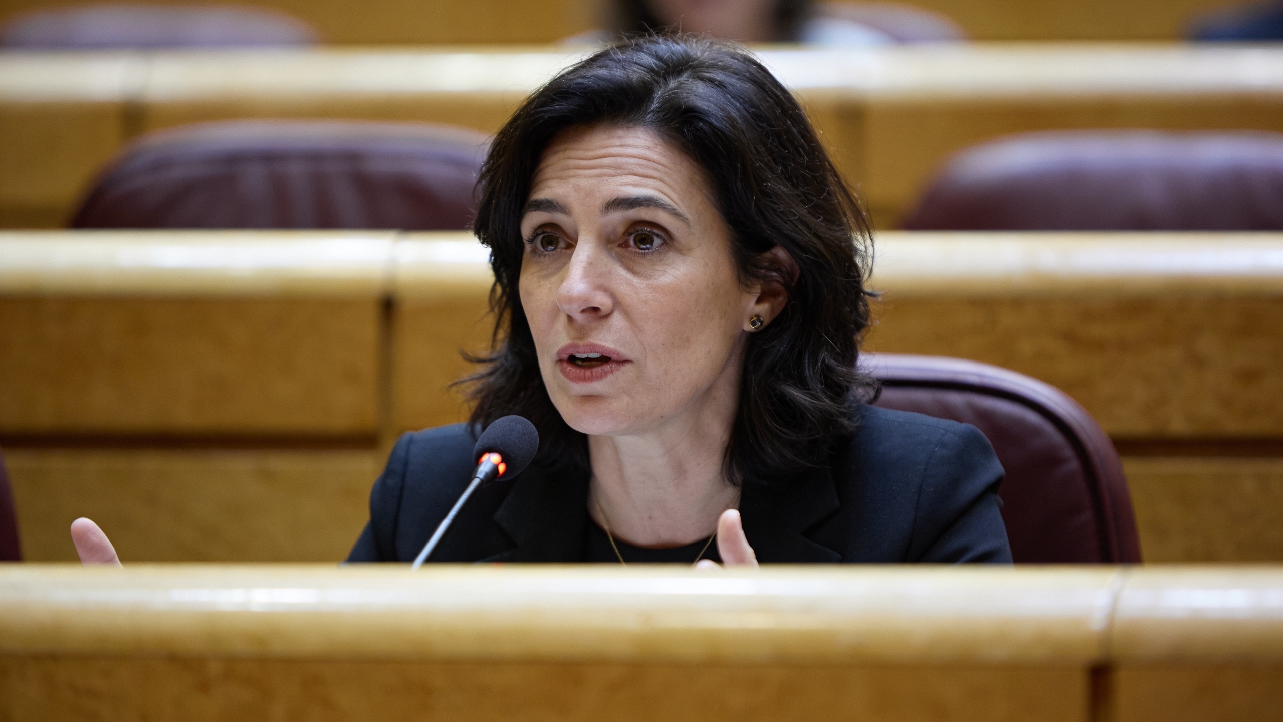 El Congreso interroga a Vilaplana sobre su reunión con Mazón el día de la catástrofe Español.News