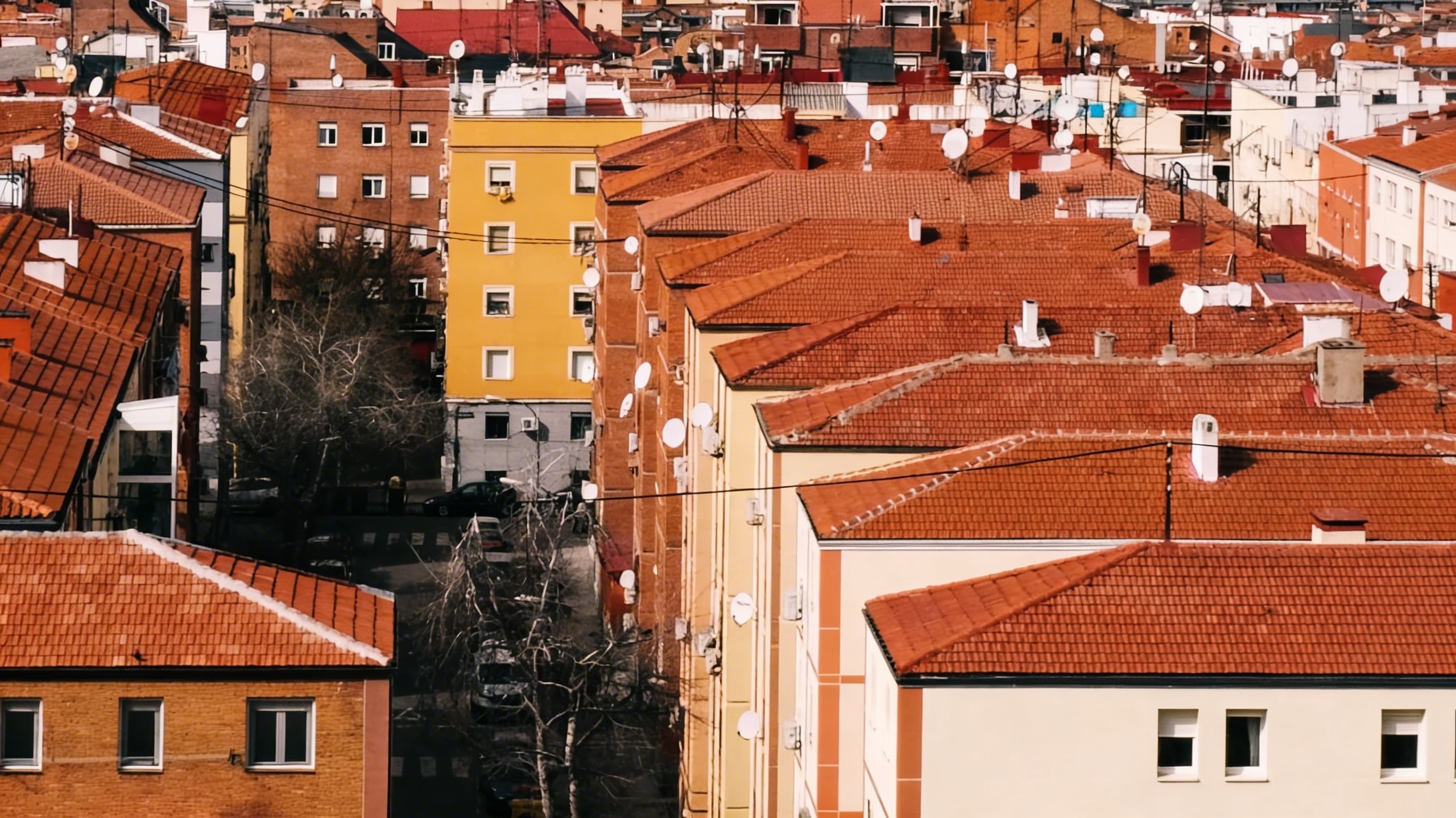 Dónde se encuentran las viviendas más amplias y antiguas de Madrid Español.News